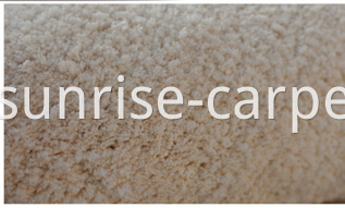 Microfiber Short Pile Carpet